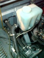 user23137_pic9922_1267377041.jpg