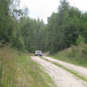 В лесах Белоруссии
