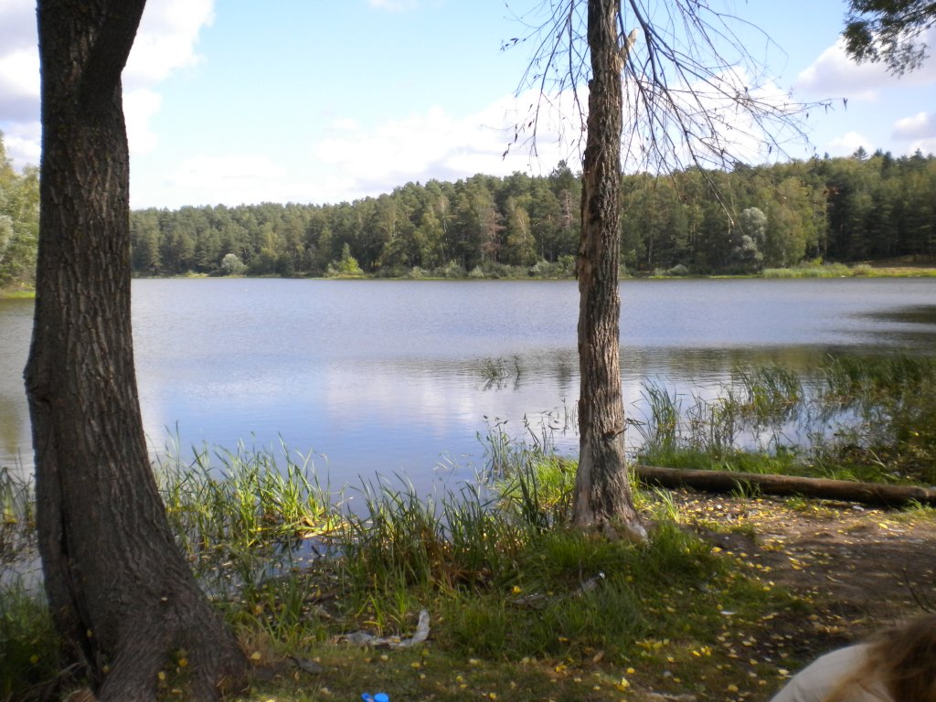 Живописный вид на озеро